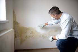 Best Forensic Mold Investigation  in Prairie Heights, WA